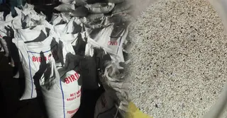 ‘পাখির খাদ্য’ বলে পাকিস্তান থেকে এলো ২৫ হাজার কেজি নিষিদ্ধ পপি বীজ